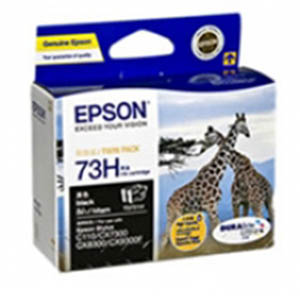 Epson C13T073193 Black Ink Cartridge