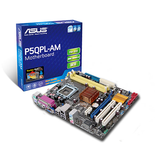 Asus P5QPL-AM Intel G41 Chipset LGA775 Motherboard