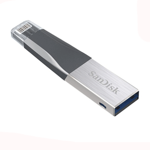 SanDisk iXpand Mini 16GB OTG USB Drive for iPhone (SDIX40N-016G-GN6NN)