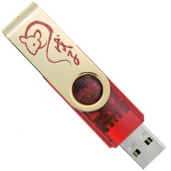 Kingston 2GB (DT101R/2GBCN) DataTraveler 101 USB2.0 Flash Drive (SPECIAL EDITION)