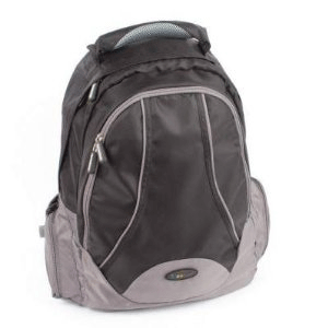 Lenovo IdeaPad 15-inch Backpack B450 (Black-Basic)