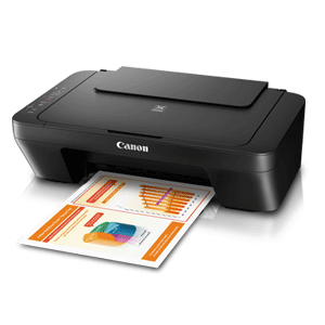 Canon PIXMA MG2570S Affordable ink cartridges for high quality printing
