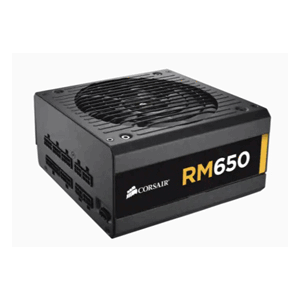 Corsair RM650 650W 80 Plus Gold Certified Fully Modular Power Supply