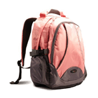 Lenovo IdeaPad 15 Backpack B450 Pink VillMan Computers