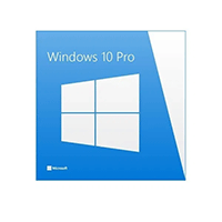 Microsoft Windows 10 Pro (X18-45392)
