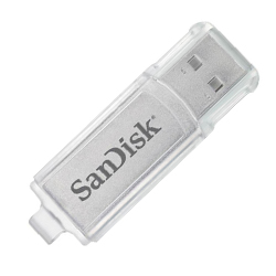 SanDisk Cruzer Micro 2GB USB Flash Drive (Skin)