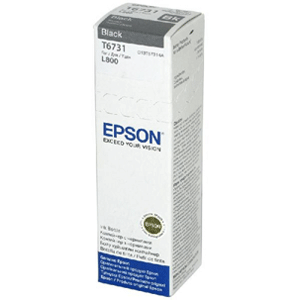 Epson T6731 Bottle Ink Black 